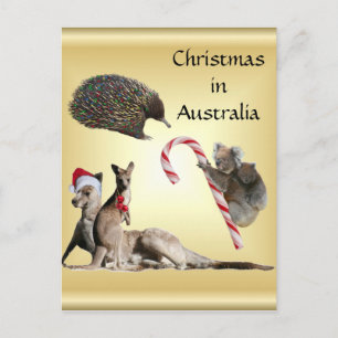 Aussie Animal Kerstmis Feestdagenkaart