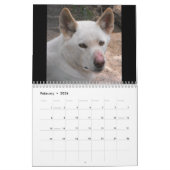 Aussie Animals Kalender (Feb 2026)