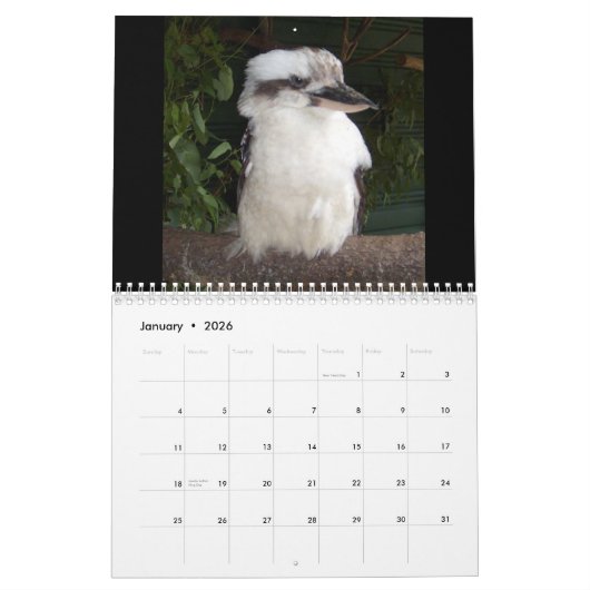 Aussie Animals Kalender (Jan 2026)