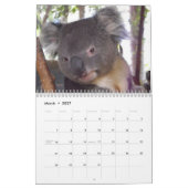 Aussie Animals Kalender (Mar 2027)