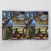 Aussie Annals Foto Collage Kaart (Binnen)