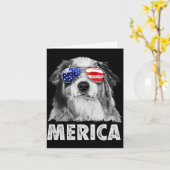 Aussie australian shepherd 4 juli Amerika Kaart (Gele Bloem)