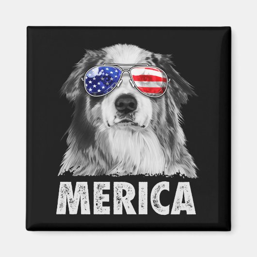 Aussie australian shepherd 4 juli merica magneet (Voorkant)