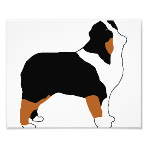 aussie black tri silo foto afdruk