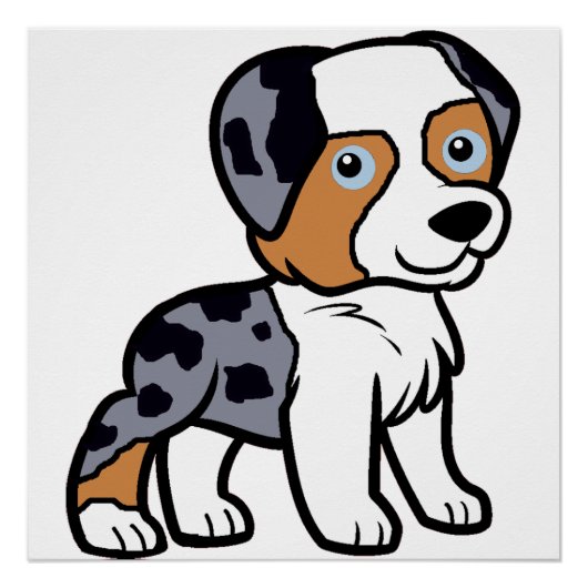 aussie blue merle cartoon poster (Voorkant)