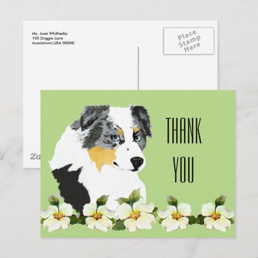 Aussie Blue Merle Dog Bedankt Briefkaart (Voorkant / Achterkant)