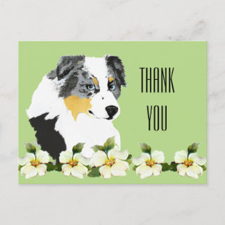 Aussie Blue Merle Dog Bedankt Briefkaart