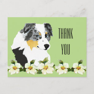 Aussie Blue Merle Dog Dank je Briefkaart