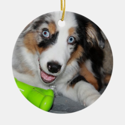 aussie blue merle puppy.png keramisch ornament (Voorkant)