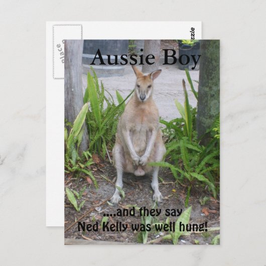 Aussie Boy, briefkaart (Voorkant / Achterkant)