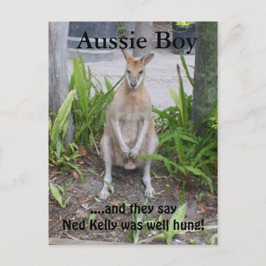 Aussie Boy, briefkaart (Voorkant)