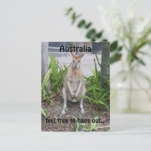Aussie Boy, briefkaart (Staand voorkant)