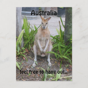 Aussie Boy, briefkaart