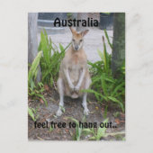 Aussie Boy, briefkaart (Voorkant)