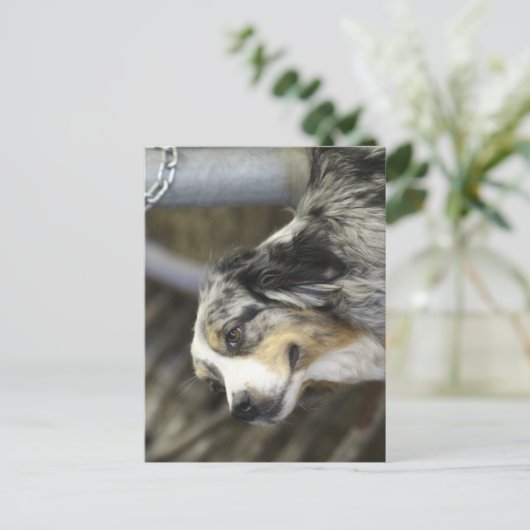 Aussie Briefkaart (Staand voorkant)