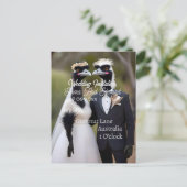 Aussie Bruiloft Australische Emus, Bruiloft Briefkaart (Staand voorkant)