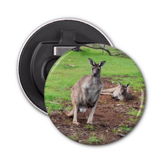 Aussie Buck Kangaroo, Magnetic Bottle Opener. Button Flesopener (Voorkant)