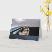 Aussie dog card kaart (Gele Bloem)