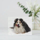 Aussie Dog Tongue Briefkaart (Staand voorkant)