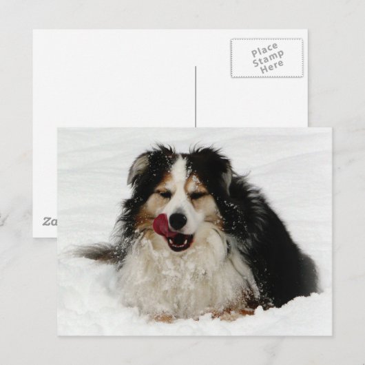 Aussie Dog Tongue Briefkaart (Voorkant / Achterkant)