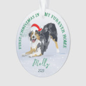 Aussie draagt Santa Hat 2023 Ornament (voorkant)