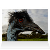 Aussie Emu Attractie,Verjaardagskaart (Binnen Horizontaal (Boven))