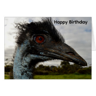 Aussie Emu Attractie,Verjaardagskaart