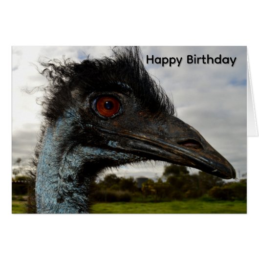 Aussie Emu Attractie,Verjaardagskaart (Voorkant Horizontaal)