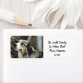 Aussie Etiket (Insitu)