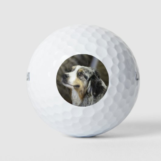 Aussie Golfballen (Voorkant)