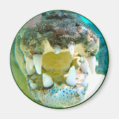 Aussie Icon - Big Croc Terry - Magneet (Voorkant)