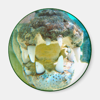 Aussie Icon - Big Croc Terry - Magneet