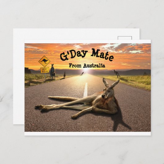 Aussie Kangaroo Briefkaart (Voorkant / Achterkant)