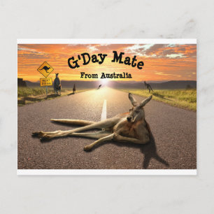 Aussie Kangaroo Briefkaart