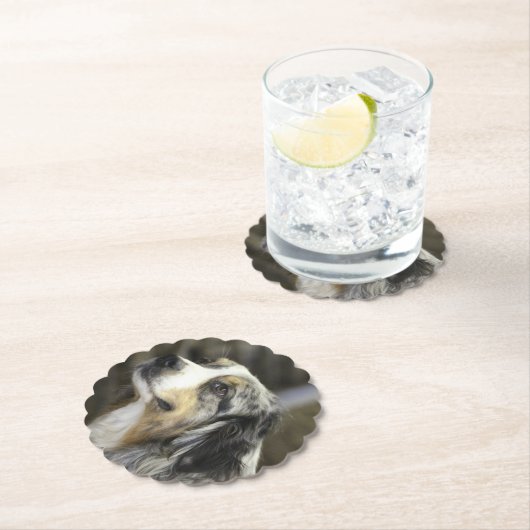 Aussie Kartonnen Onderzetters (Insitu)