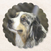 Aussie Kartonnen Onderzetters (Voorkant)