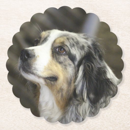 Aussie Kartonnen Onderzetters (Voorkant)