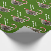Aussie Kerstmis Koala Beer Candy Cane Cadeaupapier (Hoek)