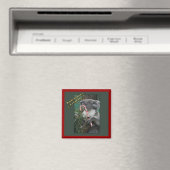 Aussie Kerstmis Koala met snoepgoed Magneet (Insitu (Vaatwasser))