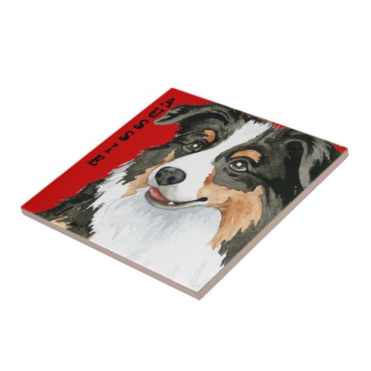 Aussie-kleurenblok Tegeltje (Zijkant)