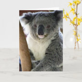 aussie koala kaart (Gele Bloem)
