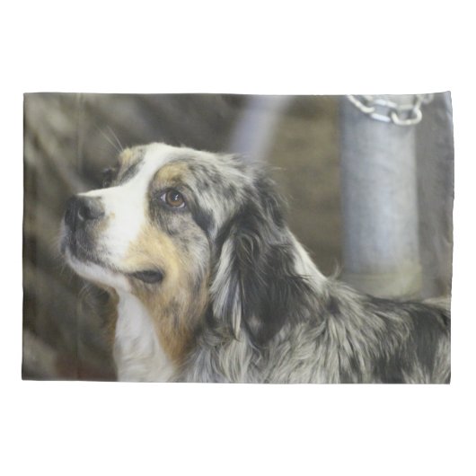 Aussie Kussensloop (Achterkant)