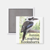 Aussie Laughing Kookaburra Magneet (Voorkant / Achterkant)