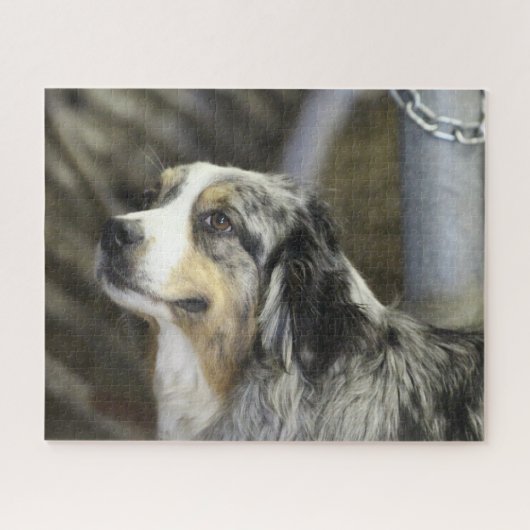 Aussie Legpuzzel (Horizontaal)