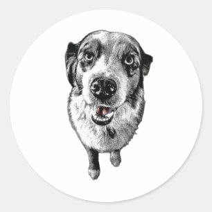 Aussie Look – Rode Hond Sticker met Tong