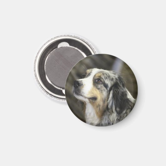 Aussie Magneet (Voorkant / Achterkant)