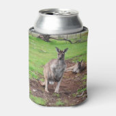 Aussie Mannelijke Kangoeroe, Blikjeskoeler (Blikje Voorkant)