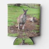 Aussie Mannelijke Kangoeroe, Blikjeskoeler (Voorkant)