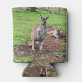 Aussie Mannelijke Kangoeroe, Blikjeskoeler (Achterkant)