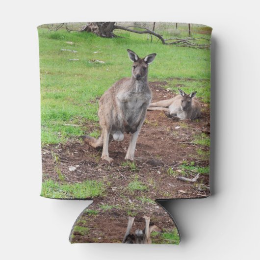 Aussie Mannelijke Kangoeroe, Blikjeskoeler (Achterkant)